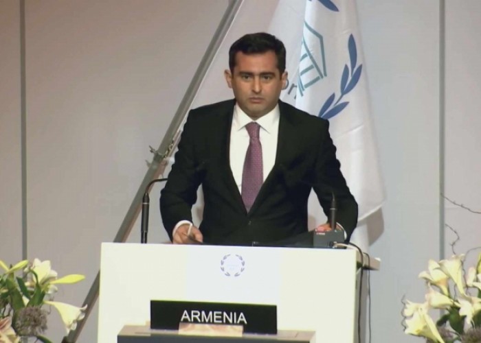Вице-спикер НС: Армения привержена миру и стабильности на Южном Кавказе