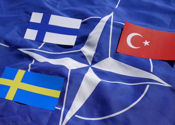 Турция обсудит в Брюсселе вступление Швеции и Финляндии в НАТО  