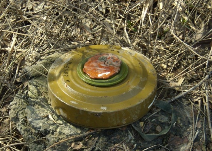 Сотрудник Агентства Азербайджана по разминированию подорвался на мине в Агдамском районе