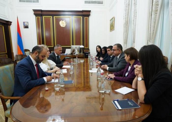 Вице-премьер РА принял главу делегации МККК в Армении