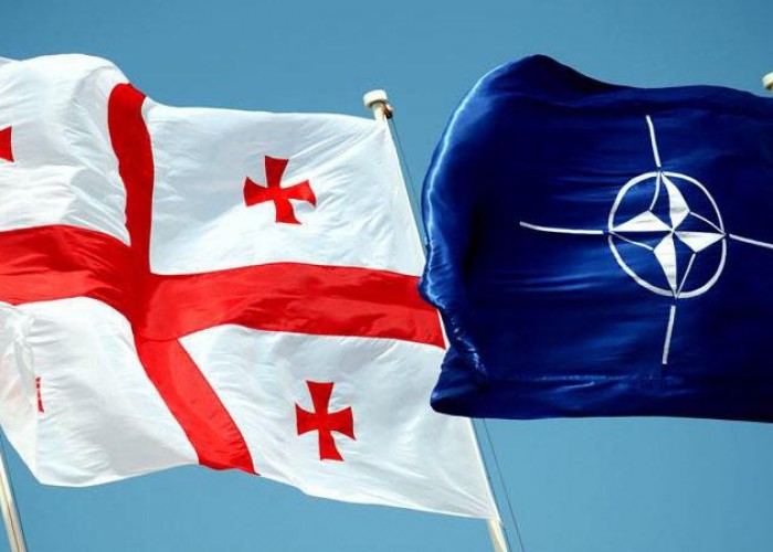 Генсек НАТО прибудет в понедельник в Грузию