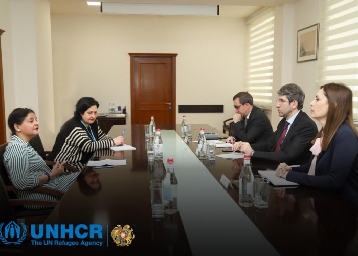 Գրիգոր Մինասյանն  ընդունել է Հայաստանում UNHCR-ի ներկայացուցչին
