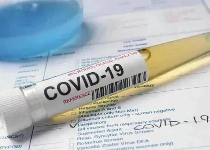 В Грузии новый антирекорд Covid-19: заразились 45 человек, вылечились 6