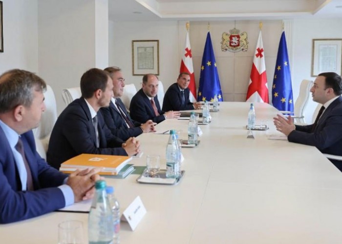 Премьер Грузии встретился с близким к Эрдогану турецким инвестором