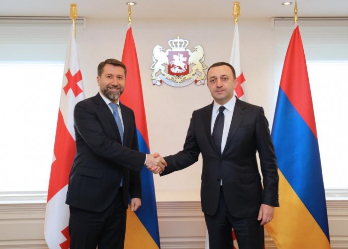 Андреасян и Гарибашвили обсудили инициативу 