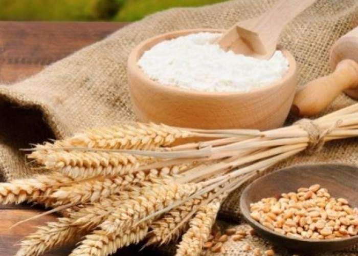 Как обогащаются монополисты за счет импорта пшеницы и муки в Армению? Исследование