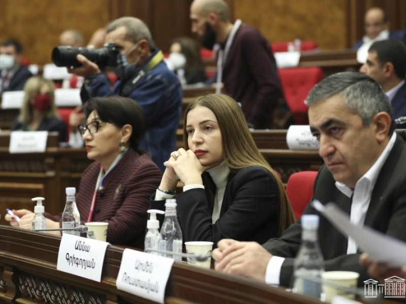 Анна Григорян: Заявления о распаде блока «Армения» - миф