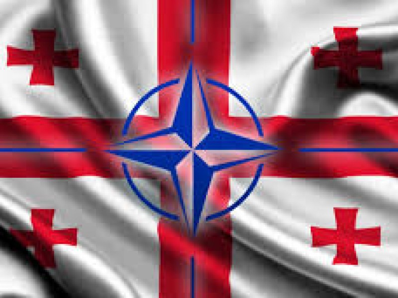 Грузия спешит в НАТО без Плана действий по членству