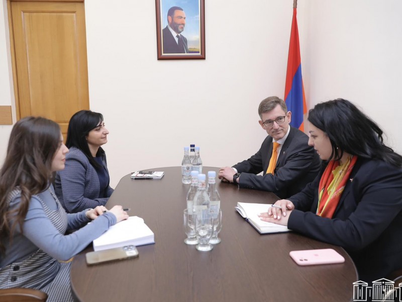 Тагуи Товмасян представила послу Нидерландов ситуацию с нарушением прав человека в Армении