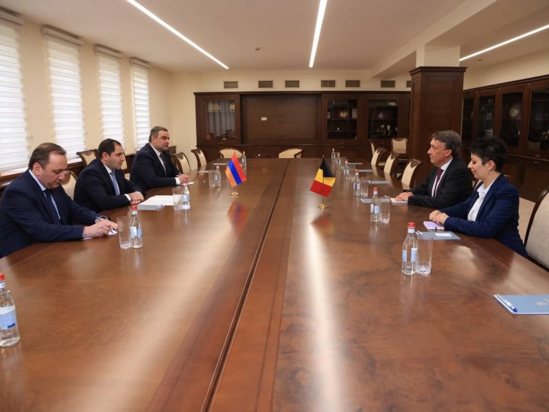 Армения и Бельгия обсуждают перспективы сотрудничества в сфере обороны 