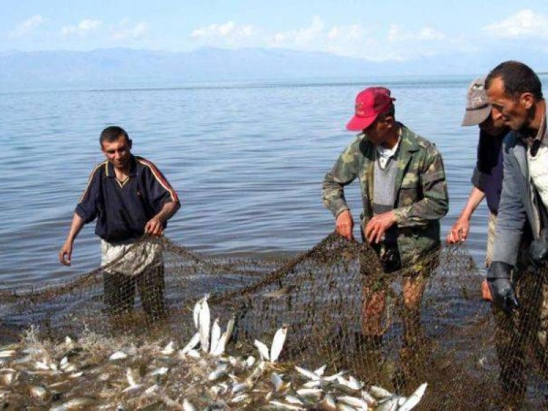 На озере Севан начинается второй этап промышленного рыболовства