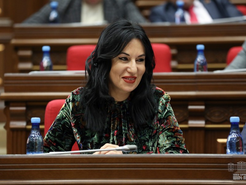 Наира Зограбян: В Армении стали увольнять людей за выражение собственного мнения