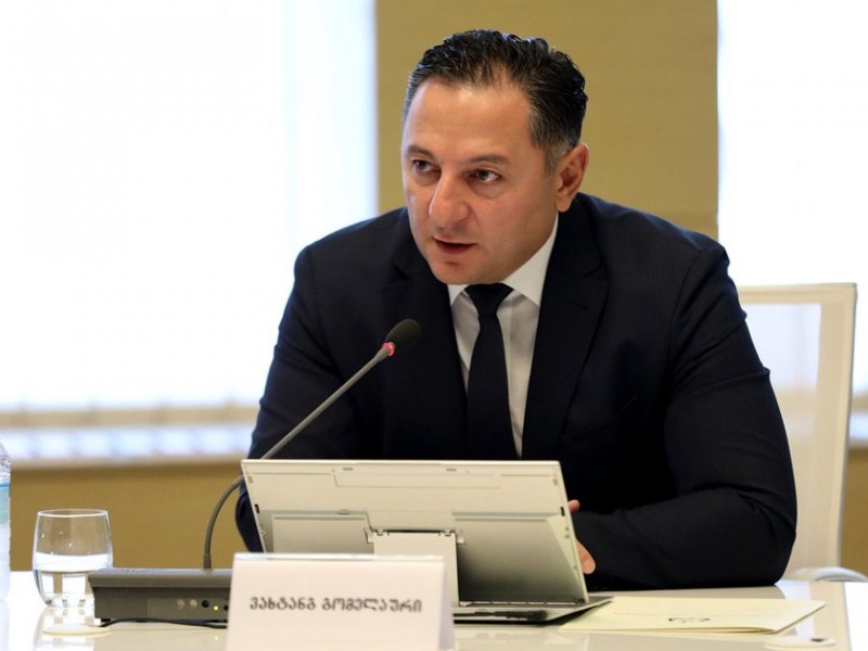Вахтанг Гомелаури стал новым руководителем Совета национальной безопасности Грузии