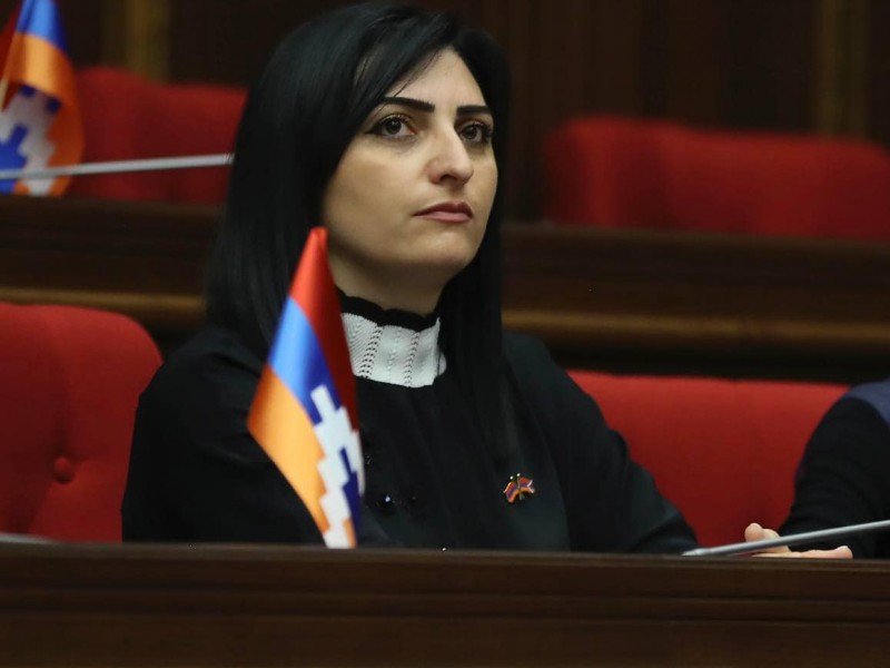 Сдержать азербайджанскую агрессию: Тагуи Товмасян обратилась в международные структуры