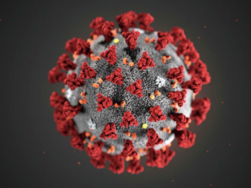Согласно китайским медикам, новый коронавирус постепенно перестает быть смертельно опасным