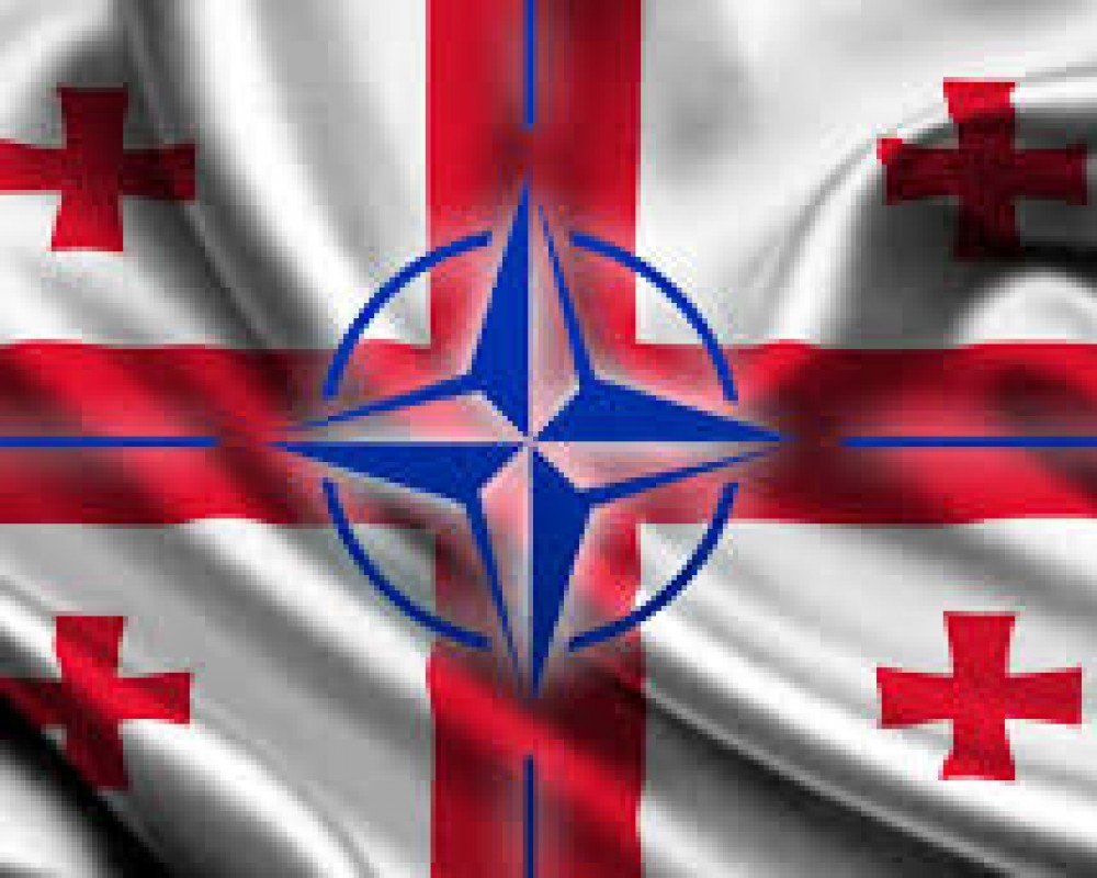 Грузия спешит в НАТО без Плана действий по членству