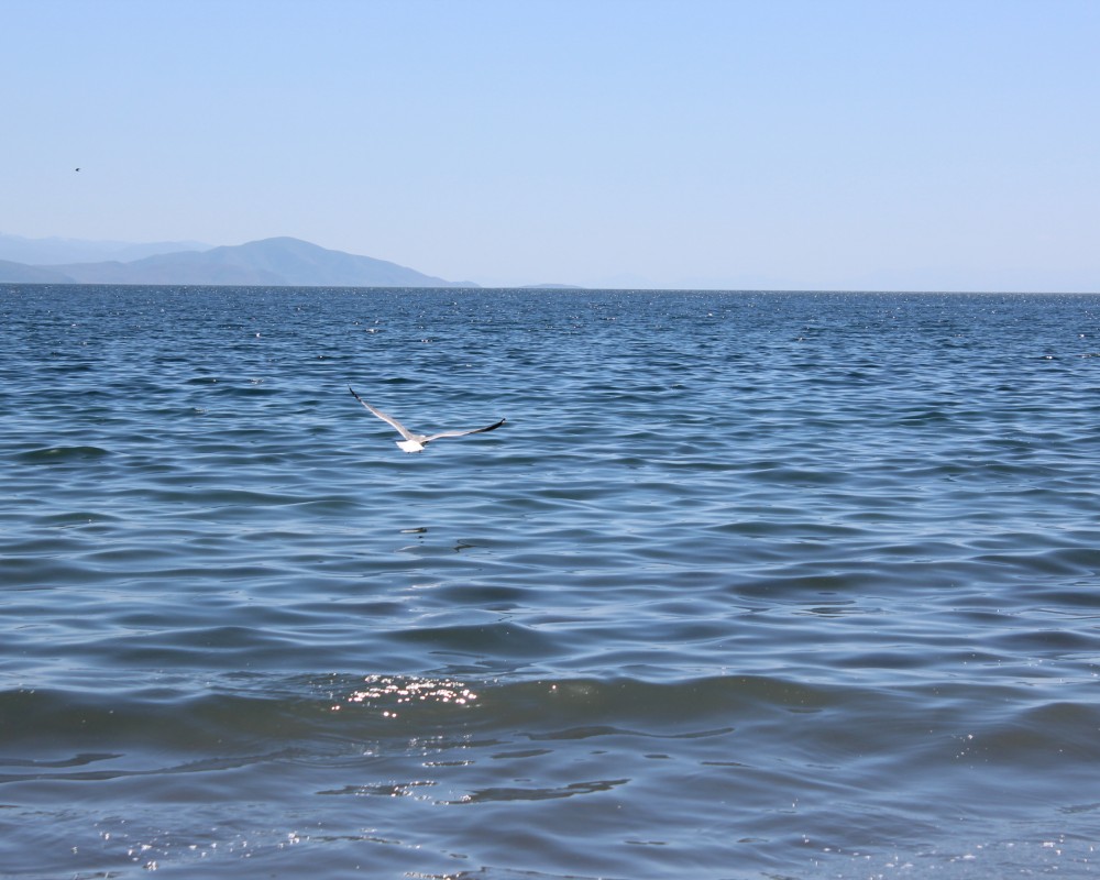 Кто выиграет от дополнительного попуска воды из озера Севан: олигархи или сельчане?