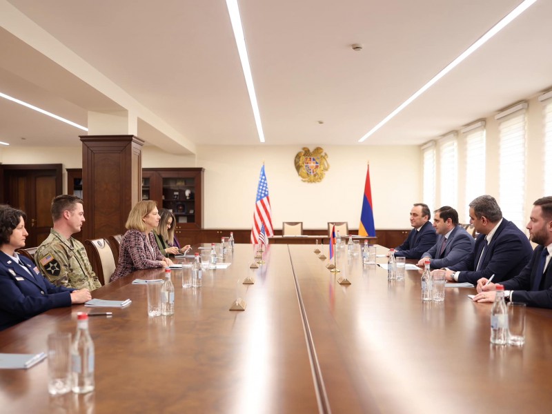 Сурен Папикян и посол США обсудили вопросы региональной безопасности