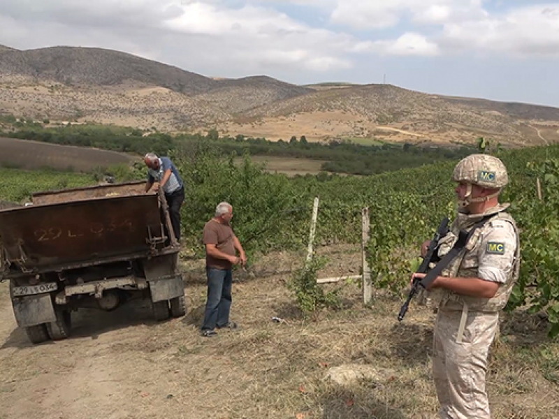 Российские миротворцы обеспечили безопасный сбор винограда на пяти плантациях в Карабахе