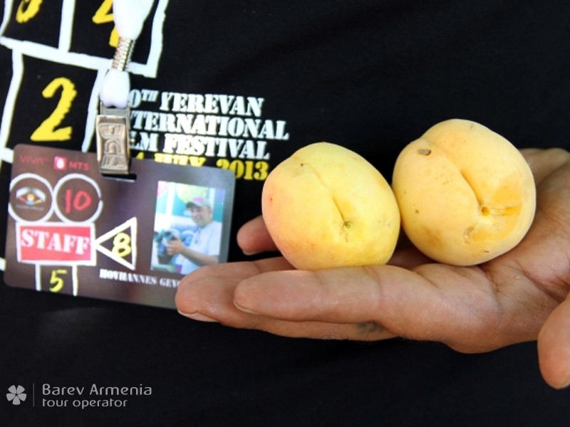 Кинофестиваль «Золотой абрикос» состоится с 1 по 8 ноября 2020 года
