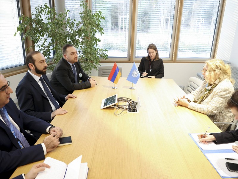 Арарат Мирзоян встретился с гендиректором отделения ООН в Женеве Татьяной Валовой
