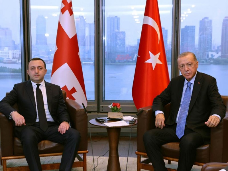 Гарибашвили пригласил Эрдогана в Грузию 
