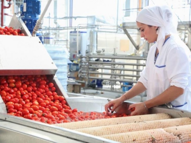 Производство сельхозпродукции в Армении выросло на 0,8%