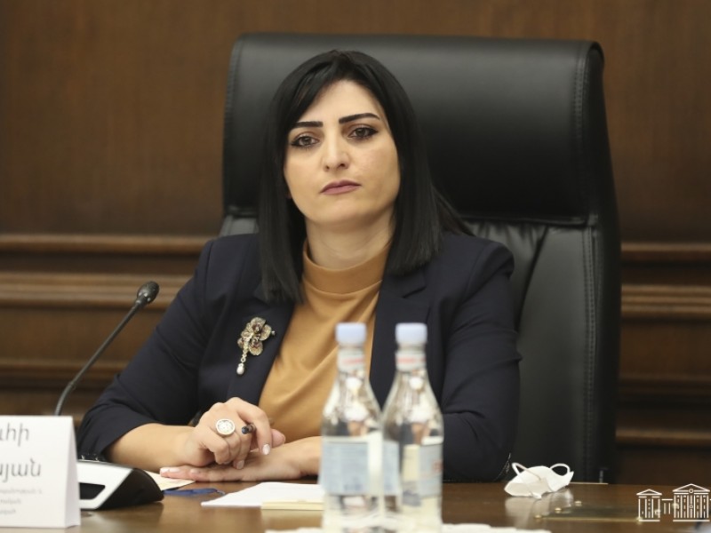 Тагуи Товмасян: Избирательное правосудие было и остается важной проблемой в Армении