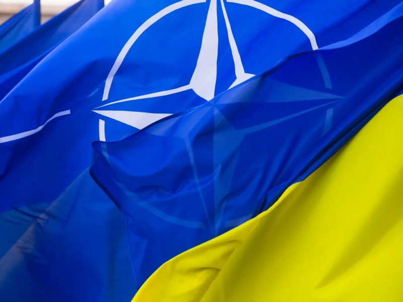 Членству Украины в НАТО препятствуют конфликт в Донбассе и Крым в России - посол ФРГ