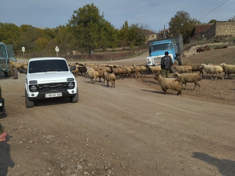 Ադրբեջանը ետ է հանձնել Կոռնիձորի բնակչին պատկանող թվով 106 գլուխ ոչխարները