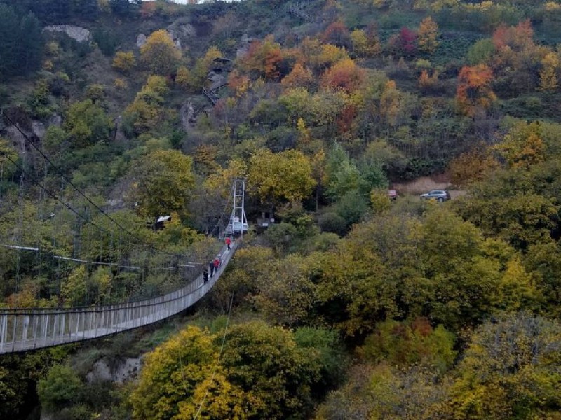 Հիմնանորոգել Խնձորեսկի ճոճվող կամուրջ տանող ճանապարհը. Մարուքյանը դիմել է Պապիկյանին