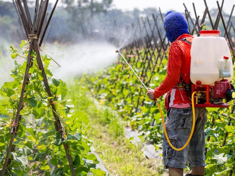 В Армении меняют подходы к импорту агрохимикатов и пестицидов