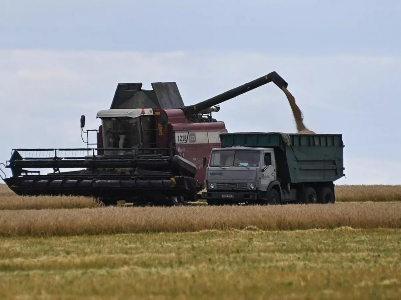 Снижение производства пшеницы в Грузии и рост импорта из России