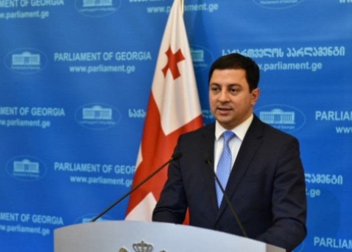 Спикер парламента Грузии подвел итоги визита в США