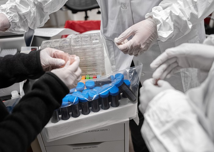 Ученые из США обнаружили препарат, способный полностью нейтрализовать коронавирус