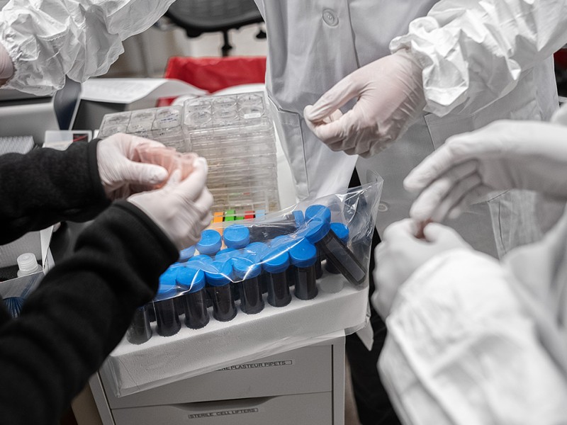 Ученые из США обнаружили препарат, способный полностью нейтрализовать коронавирус