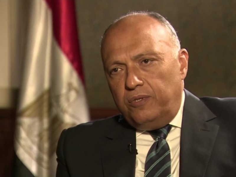 Каир выступает за урегулирование ситуации в Сирии на основе переговоров - глава МИД Египта