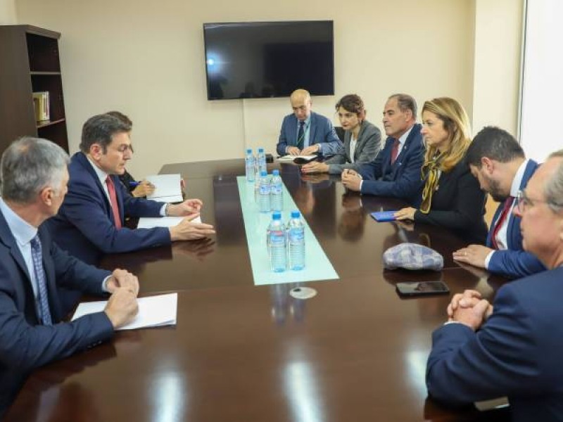 Замглавы МИД Армении представил французским депутатам последствия агрессии Азербайджана