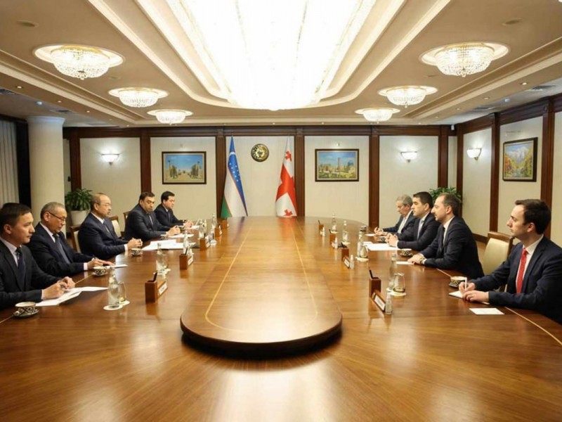 Спикер грузинского парламента посещает с визитом Узбекистан