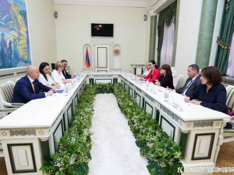 Генпрокурор Армении и директор Европола обсудили вопросы борьбы с преступностью