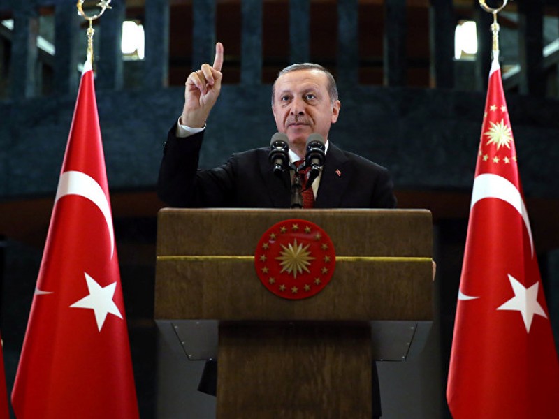 Правительство Турции передало власть Эрдогану