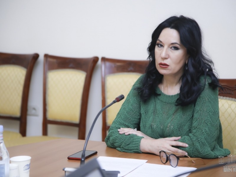 Наира Зограбян: Сегодняшнее заседание Совета НС – высшая степень абсурда