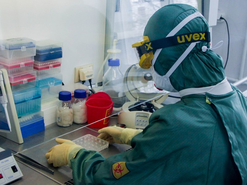 Новый антирекорд: в Армении выявили 351 зараженных коронавирусом