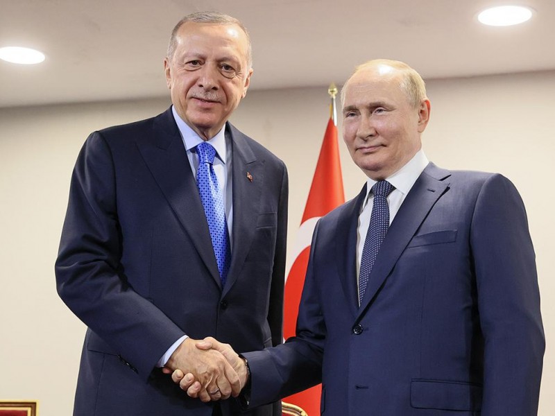 Эрдоган на встрече с Путиным попросит о скидке на газ - СМИ