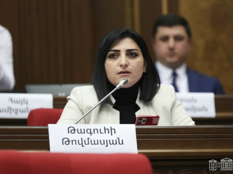 В оппозиции ставят под сомнение легитимность выборов в Совет Старейшин Еревана