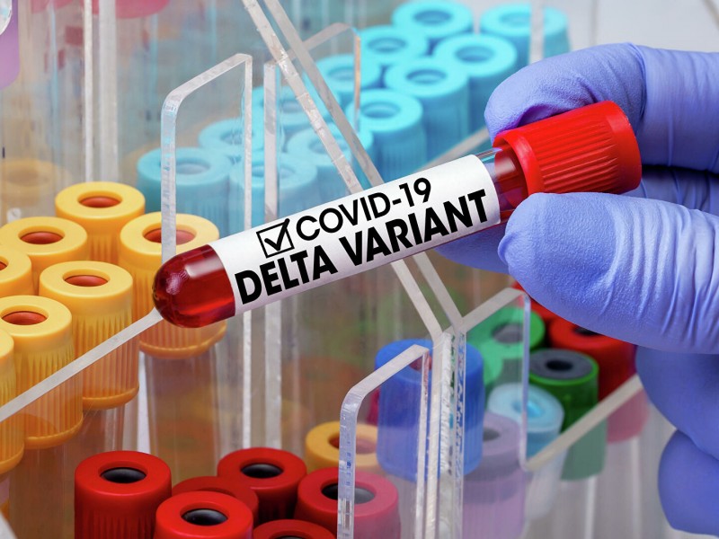В России обнаружен новый вариант дельта-штамма коронавируса AY.4.2