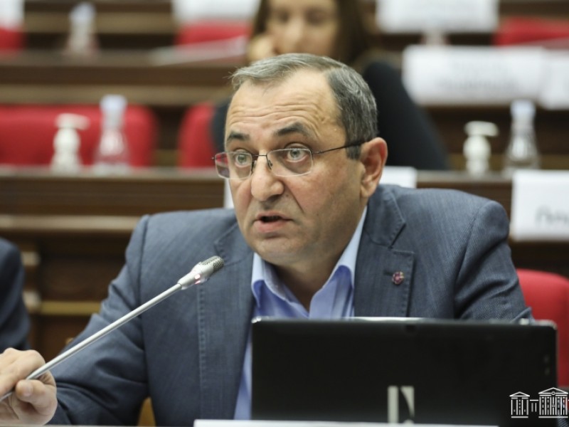 Арцвик Минасян: Положено начало новой программе односторонних уступок Армении