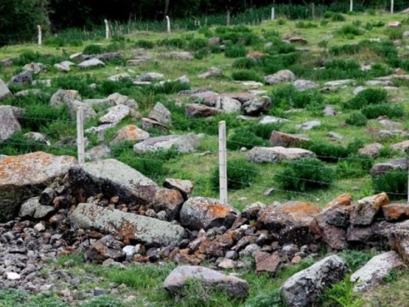 В Анкаре осквернили армянское кладбище: на территории разбросаны человеческие кости