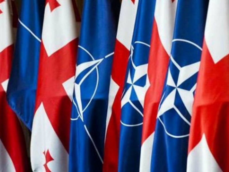 Эксперт: Грузия может предложить НАТО открытие Центра гибридной войны