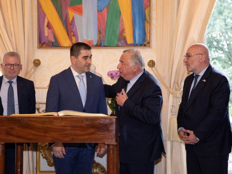 Спикер парламента Грузии и председатель Сената Франции обсудили вопросы сотрудничества